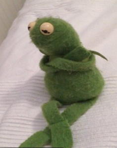 play Find The Images And Defeat Kermit