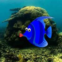 Wow-Find Hidden Dory Html5