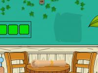 play Porcupine Escape From House