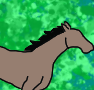 play Salma Horses