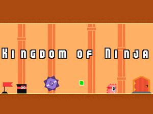 play Kingdom Of Ninja