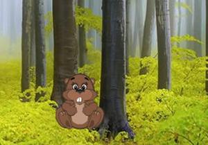 play Funny Beaver Land Escape