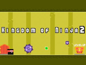 play Kingdom Of Ninja 2