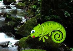 Chameleon Rain Forest Escape