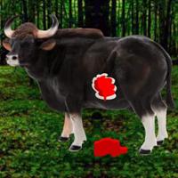 Wow-Injured Gaur Escape Html5