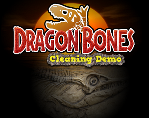 play Dragon Bones: Cleaning Demo