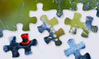play Jigsaw Puzzles