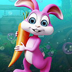 play Beautiful Lucky Rabbit Escape