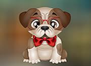 play Cute Affectionate Dog Escape