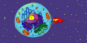 play Space Shooter 1.0