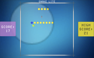 play Snake Lite