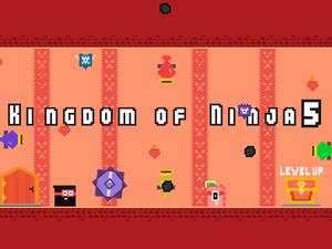 play Kingdom Of Ninja 5