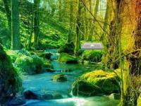 play Rainbow Fall Forest Escape