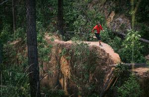 play Jungle Running