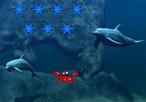 play Fish To Mermaid Transformation
