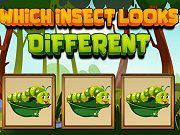 play Which Insect Looks Different