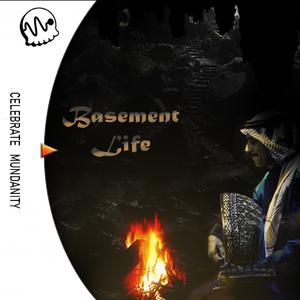 play Basement Life