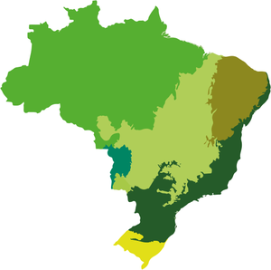 Jogo Da Memória - Biomas Do Brasil