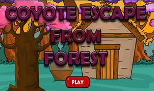 play Coyote Escape From Forest