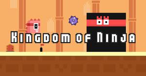 play Kingdom Of Ninja