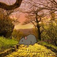 Abandoned Rat Forest Escape Html5