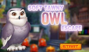 Pg Soft Tawny Owl Escape