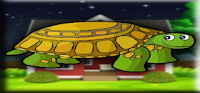 play G2J Cute Star Tortoise Escape