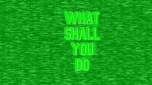 play What Shall You Do
