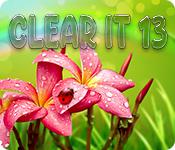 Clearit 13