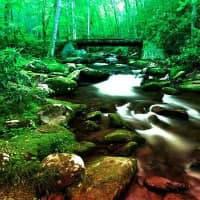 play G2R-Chilly Forest Escape Html5
