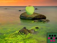 play Twilight Lake Fairy Escape