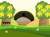 play G2M Baby Land Escape