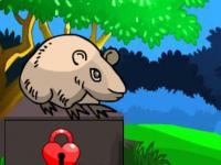 play Rat Land Escape