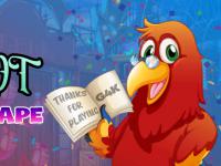 play Erudite Red Parrot Escape