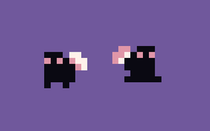 play Dualrobbery