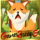 play G2E Tiny Fox Rescue Html5