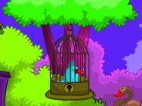 play Jay Bird Rescue
