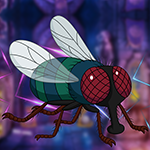 play Cute Fly Mosquito Escape