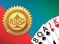 play Bridge