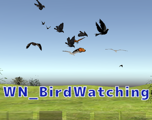 play Wn_Birdwatching