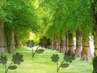 play Predatory Garden Escape