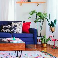 Gfg Colorful Living Room Escape