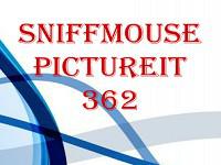 play Pictureit 362