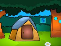 play Typical Land Escape
