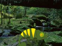 play King Snail Escape
