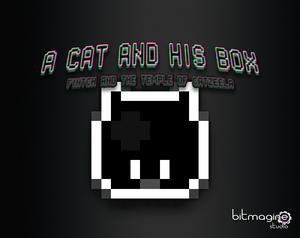 play A Cat And His Box