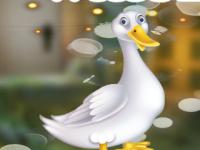 play Glad White Duck Escape