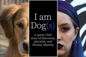 play I Am Dogs(S)