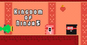 play Kingdom Of Ninja 5