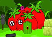 play Cormorant Escape